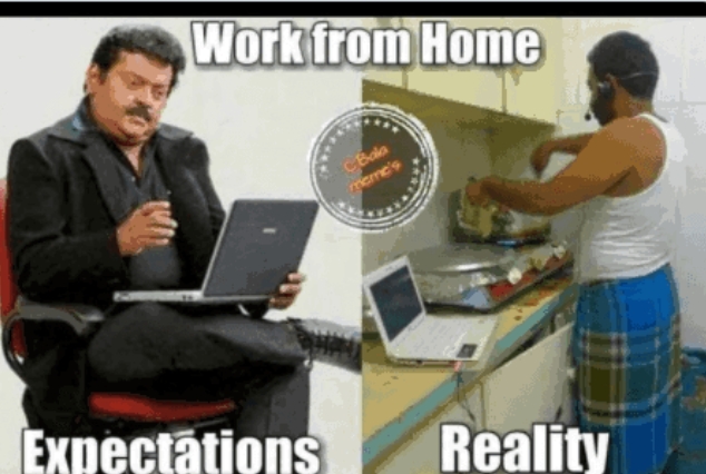 Work from home (Expectations vs Reality)
