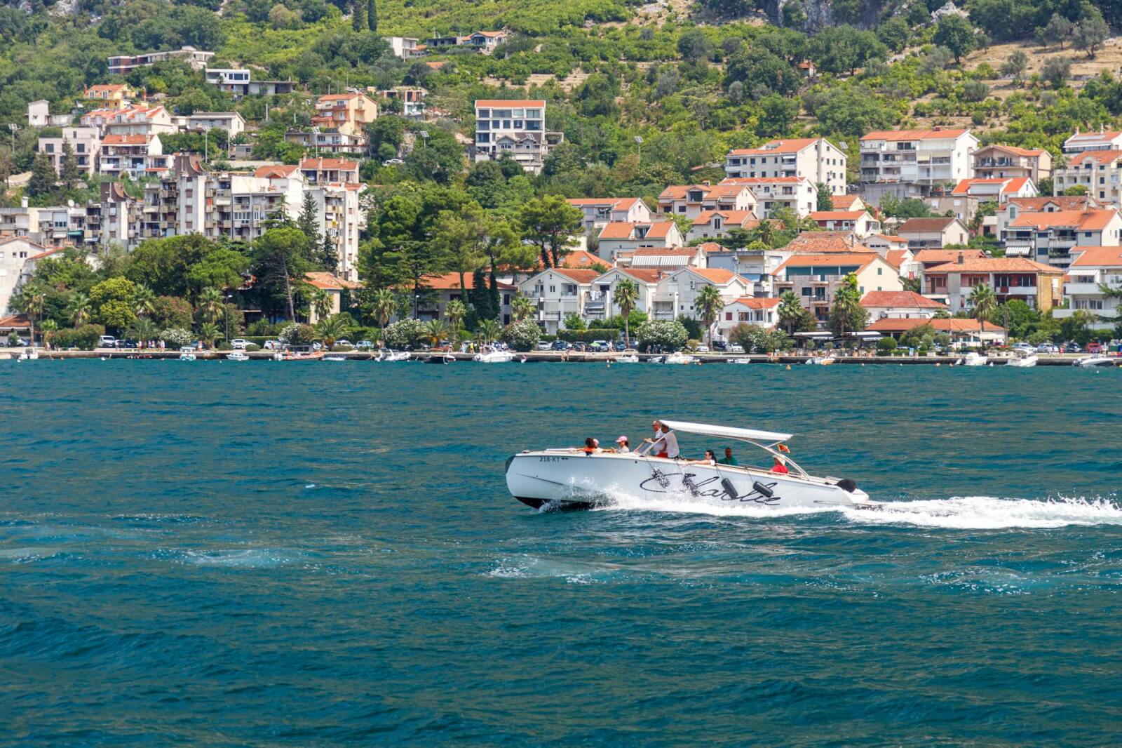 how-to-become-a-cruise-travel-agent